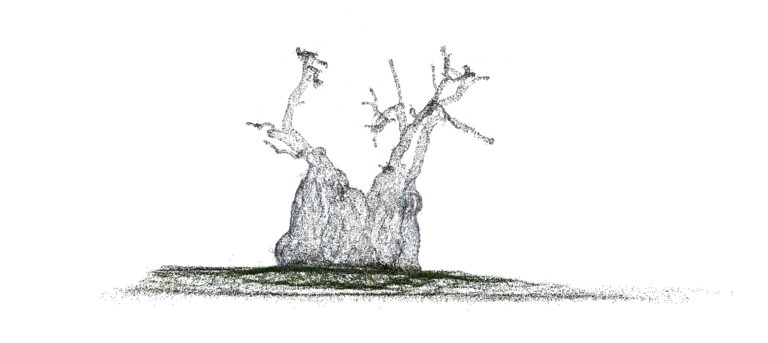 Immagine 2024-12-12 185603